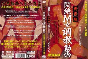 インディーズ,SM